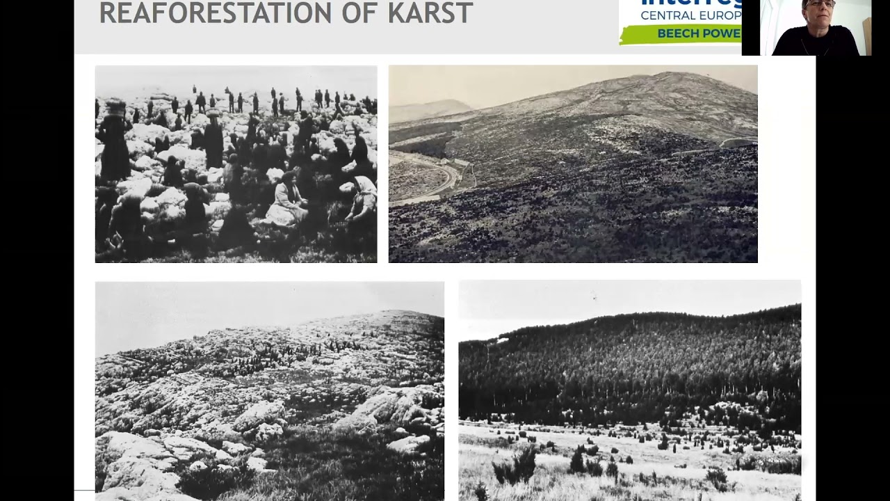 Management in beech (fir-beech) forests of the high karst of Slovenia - Špela Koblar