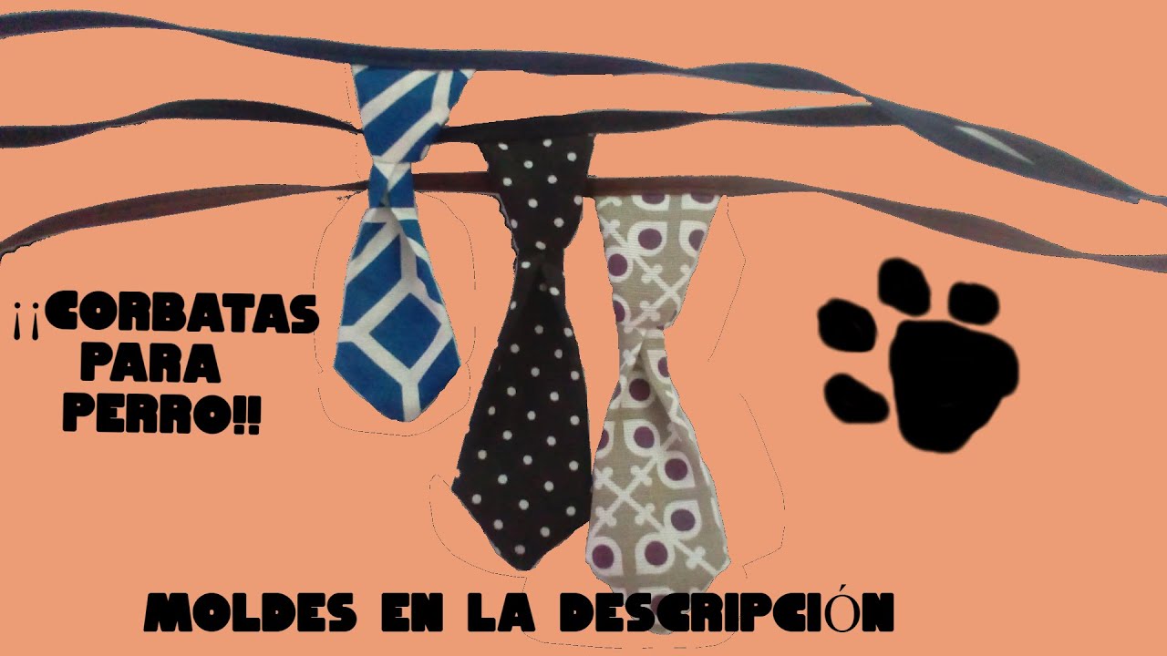 &iexcl;&iexcl;Como hacer una corbata para tu perro!!|En tu tiempo libre o la cuarentena