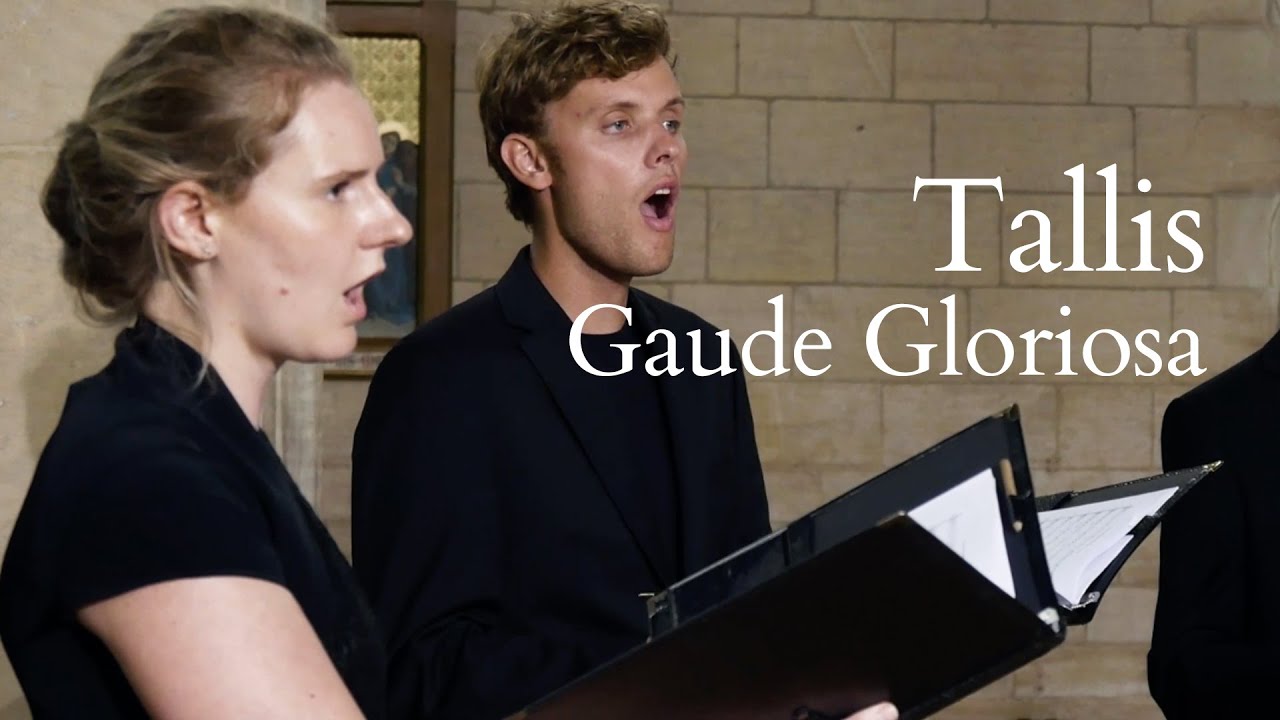 Thomas Tallis - Gaude Gloriosa | The Marian Consort