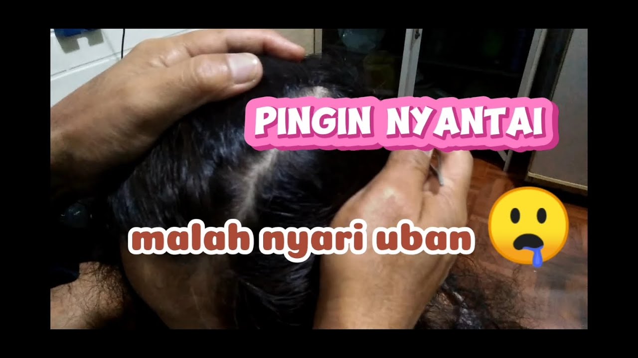 cari uban,ketombe || nci ||ASMR
