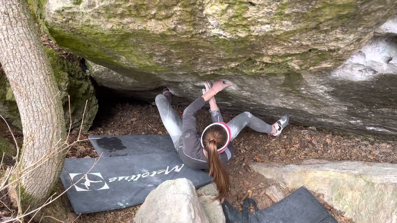 Frankenjura-„Dschungelfieber“ (Fb7C)