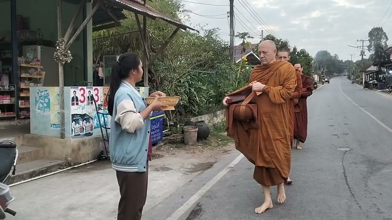 พระฝรั่ง ชาวต่างชาติ พระอาจารย์มาร์ติน ปิยธัมโม ออกรับบิณฑบาต 31-01-2569 #วัดภูฆ้องทอง 