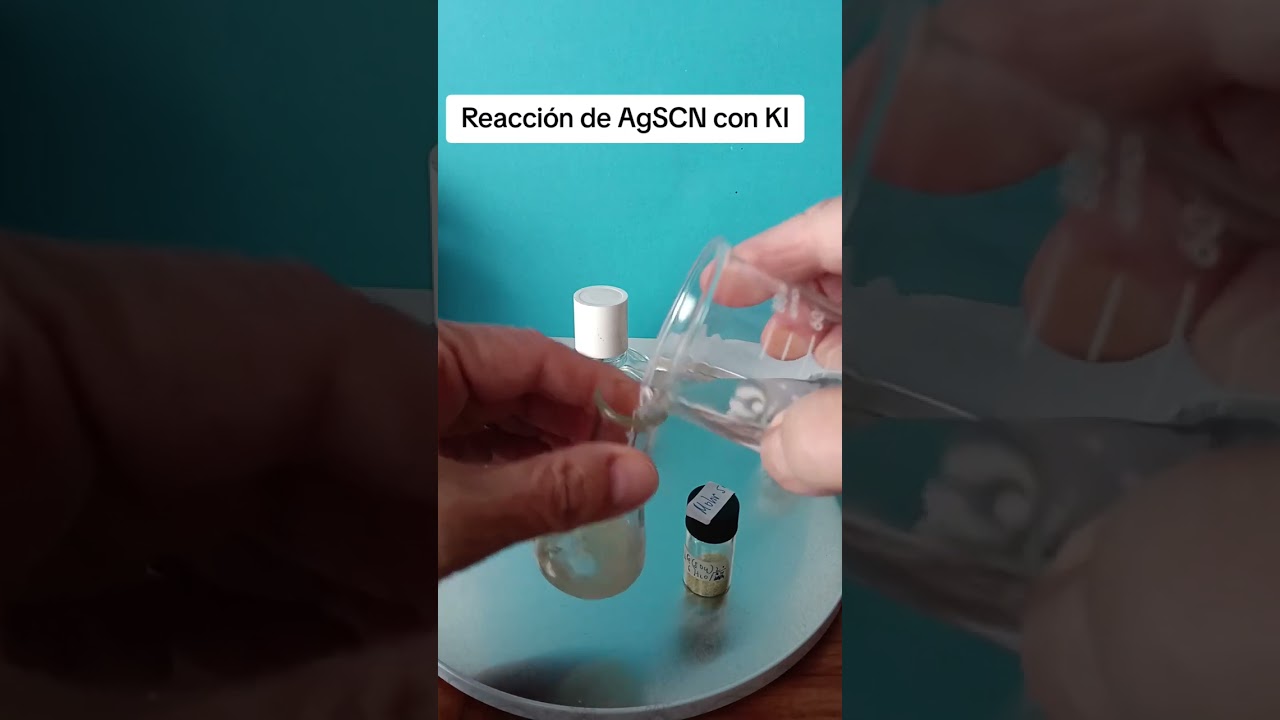 AgSCN con KI