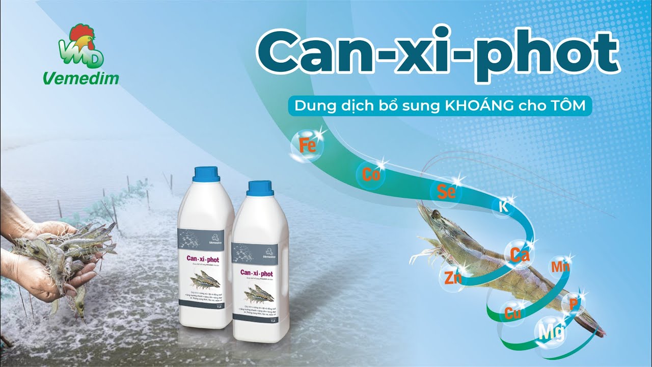 CAN-XI-PHOT - KHOÁNG CHẤT TAN HOÀN TOÀN GIÚP TÔM HẤP THU TỐT, CHẮC VỎ, NẶNG CÂN | VEMEDIM