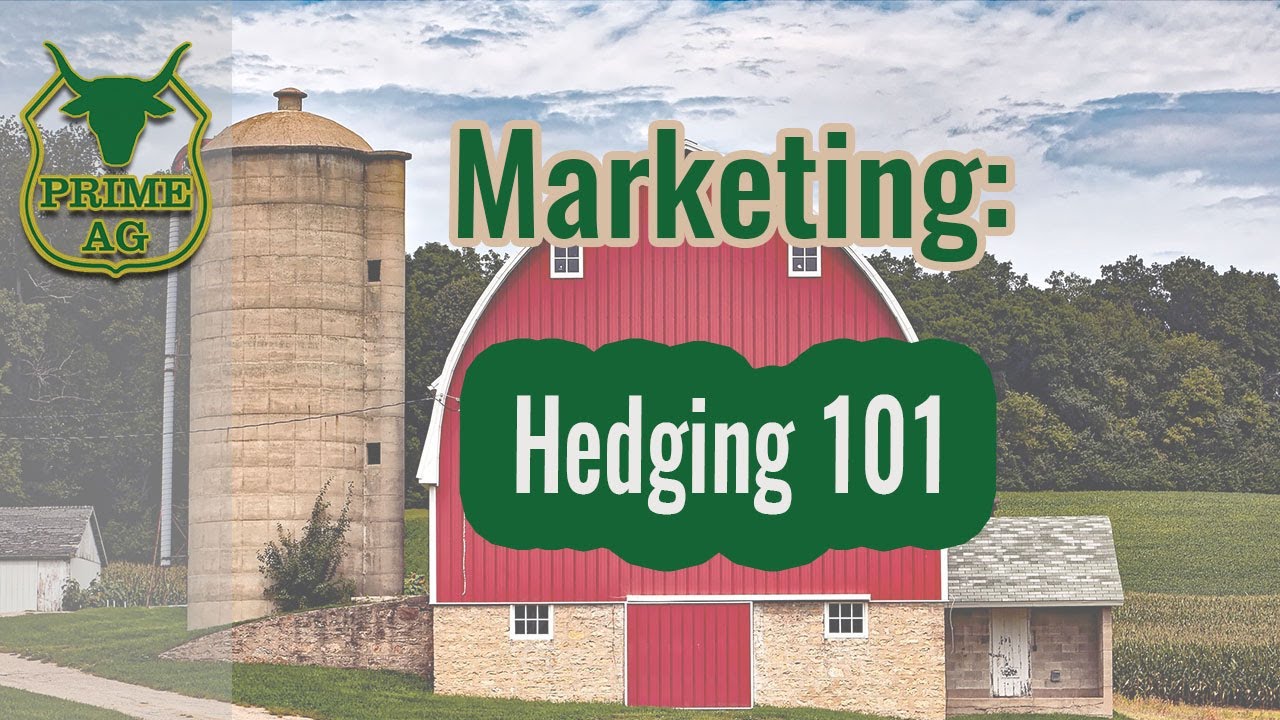 Grain Marketing 101: What is hedging in Grain and Livestock Markets?