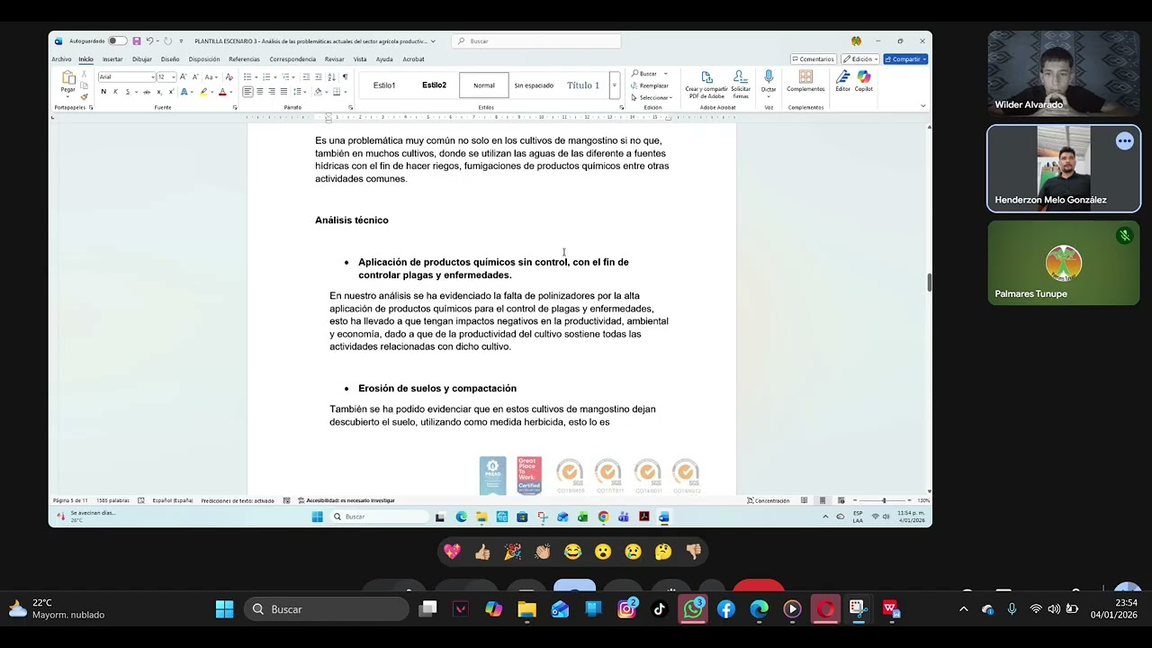 Video actividad ·3 ANALISIS DE LAS PROBLEMATICAS ACTUALES DE EL SECTOR AGRICOLA