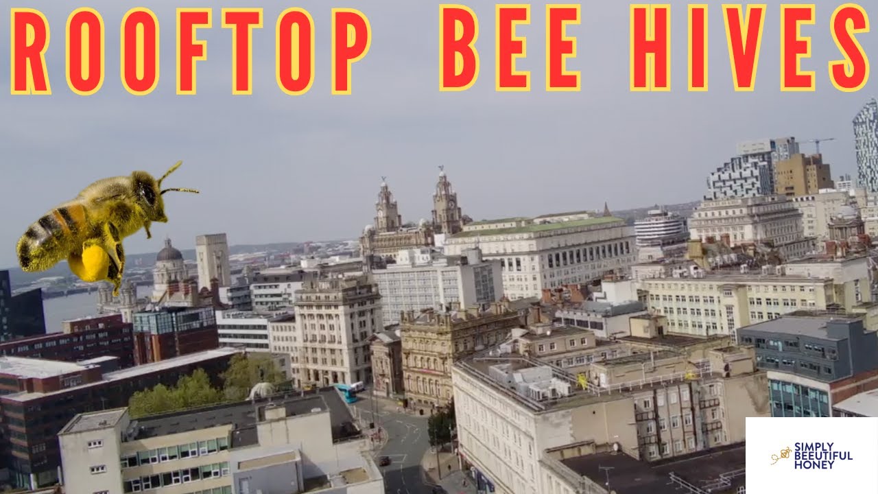 Roof top beekeeping