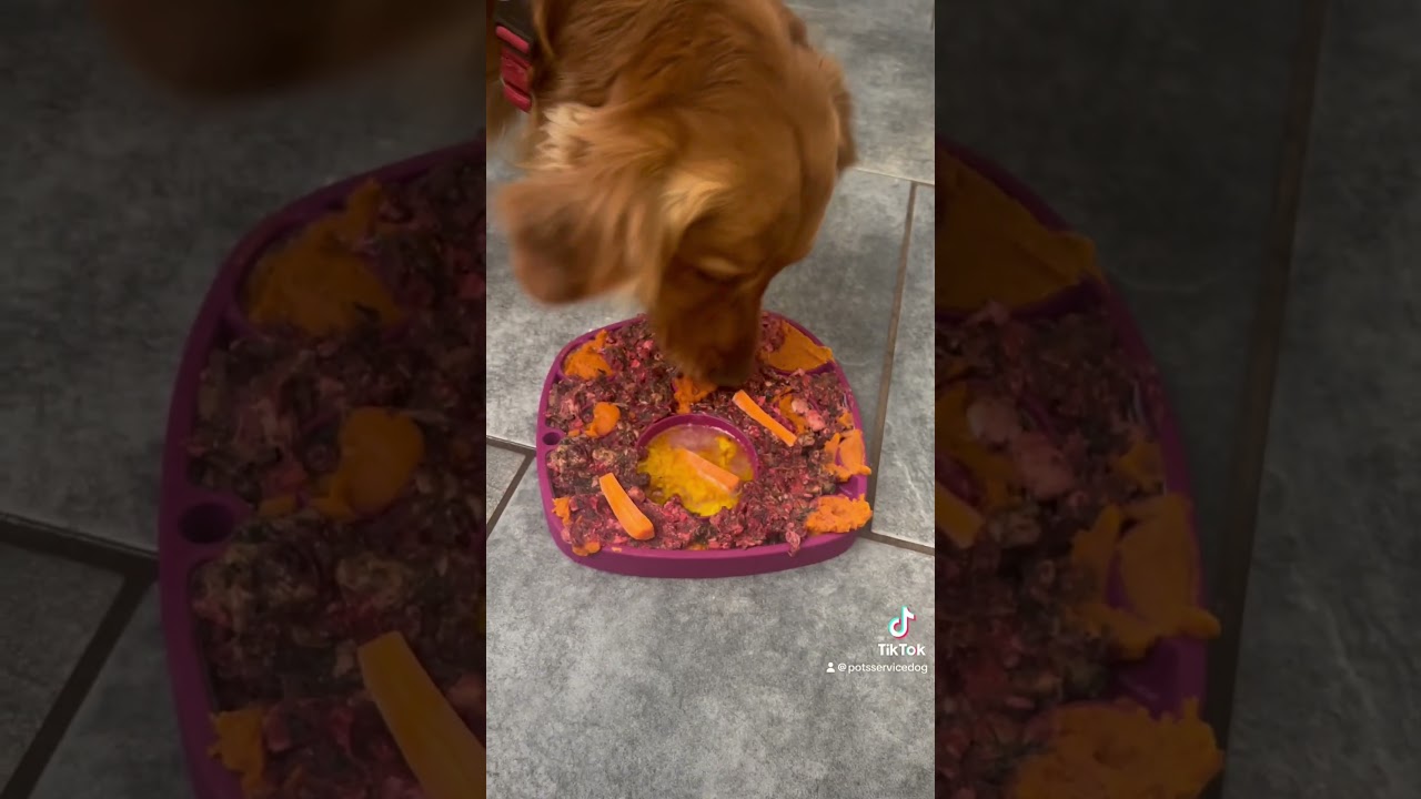 West Paw feast mat - slow feeder / lick mat for dogs