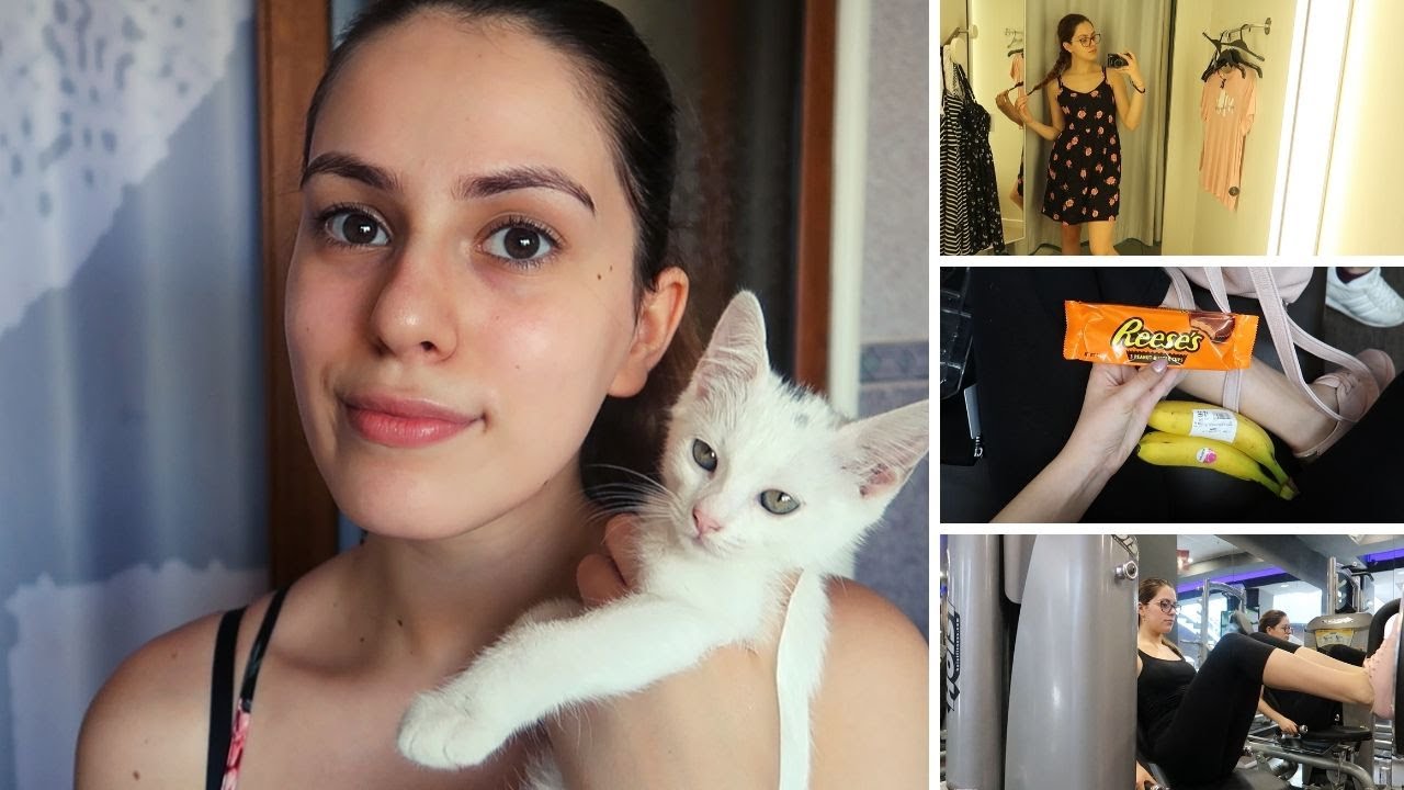 Vlog & Haul❤️ | Am adoptat încă o pisică + Cumpărături cosmetice și H&M
