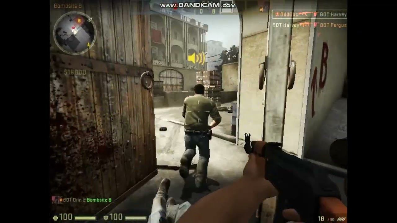 Counter Strike Global Offensive Beta