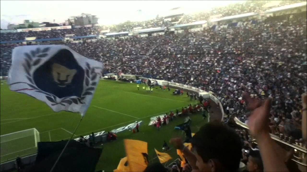 chemo tu dime que se siente llegar a las finales y que te cojan siempre ?
