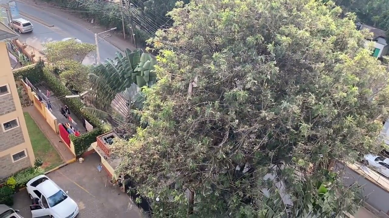 Africa! Nairobi Highrise Apartments