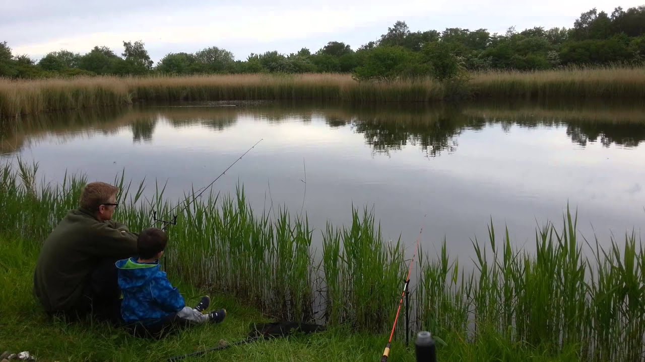 Carp fishing in Denmark