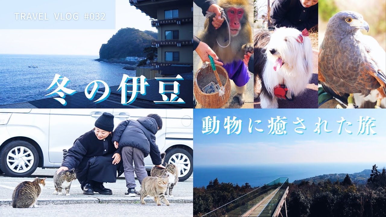 冬の伊豆旅行｜小室山・望水・熱海ロープウェイで動物に癒される1泊2日