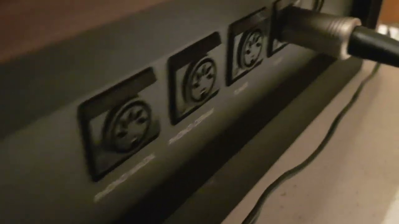 DUAL CV31         89046086831