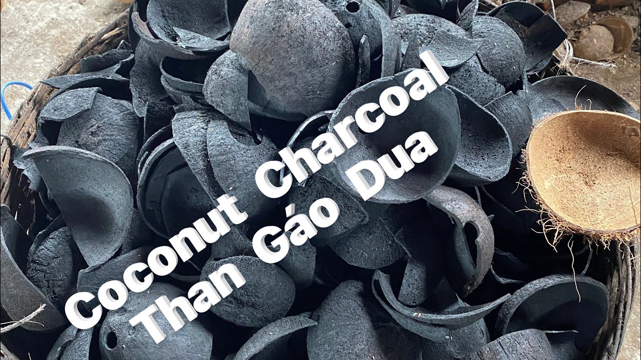 Nhà máy sản xuất than gáo dừa xuất khẩu tại Bến Tre|coconut charcoal|Vùng Đất Rồng