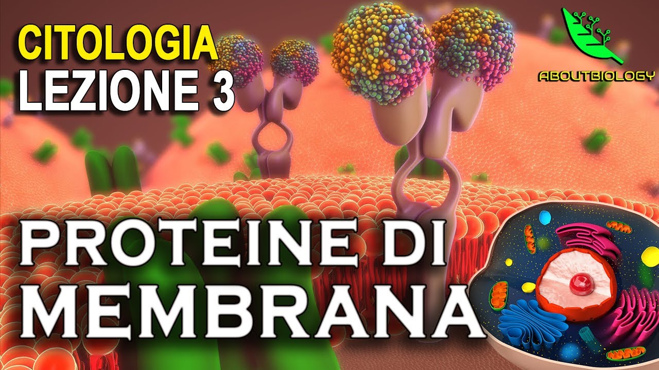 TRASPORTO ATTRAVERSO LA MEMBRANA -Citologia Lezione 3