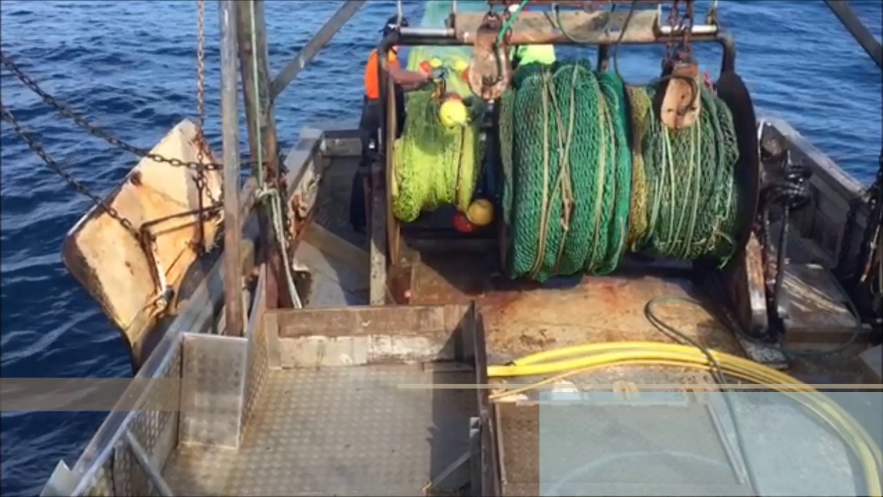 Ocean Fish Trawl - New South Wales, Australia.