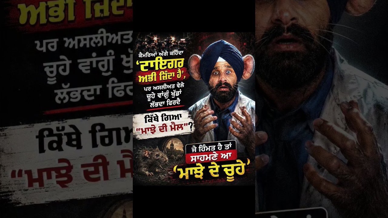 The fugitive Majithia from the Akali Dal 🤣🤡#akalidal #bikramsinghmajithia #majitha #news #protest