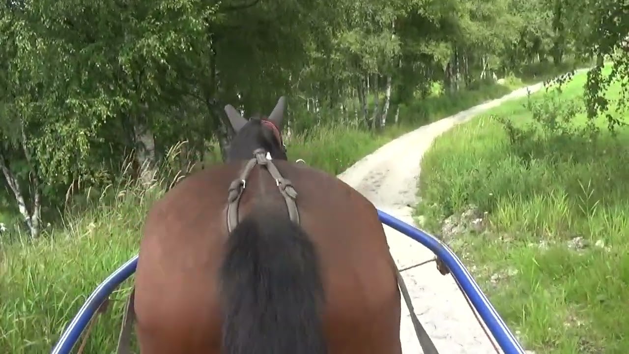 Skrittetur  med mange stopp