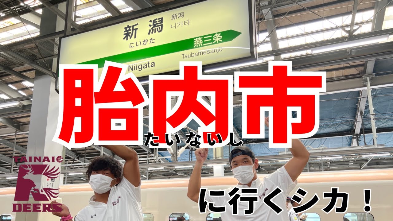 新潟県胎内市に行くシカ！