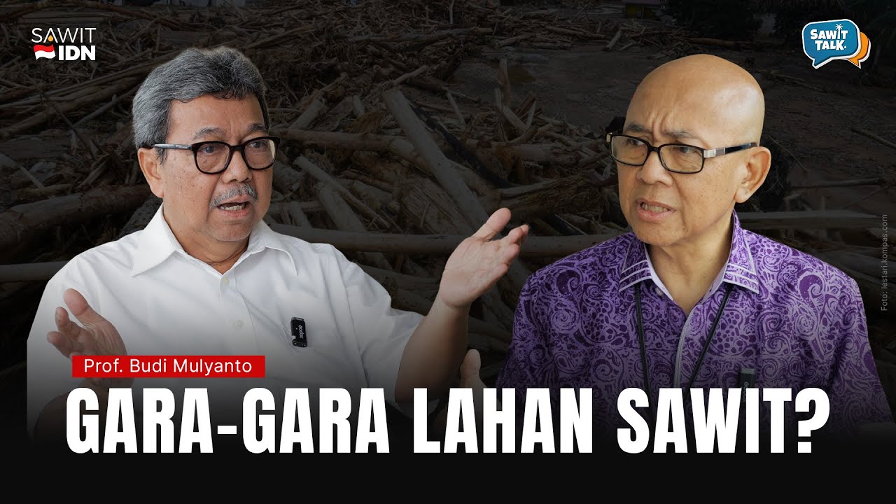 Benarkah lahan Sawit Berkontribusi Terbesar dalam Banjir dan Longsor di Aceh, Sumut dan Sumbar?