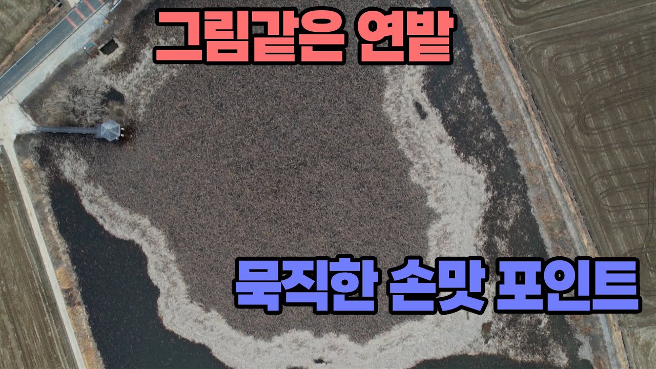 연밭에서 묵직한 봄붕어 43화 한가한낚시