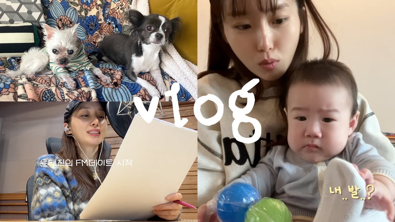 일상조각모음🧩
