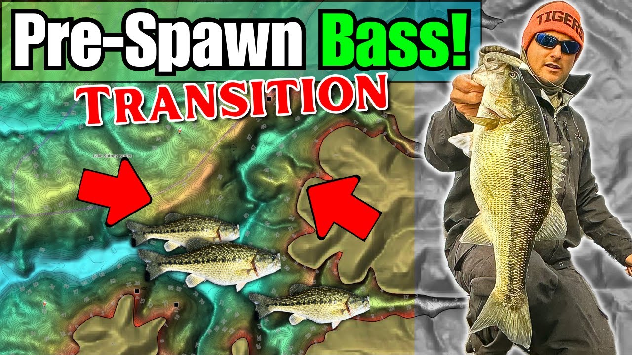 How to Follow the Spotted Bass Pre-Spawn Transition