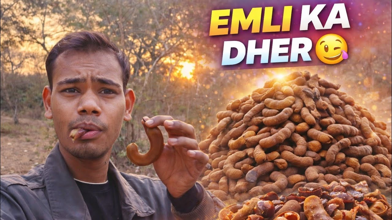 My vlog 😃EMLI LOVER 😍 ke liye EMLI PARTY 🤤🔥Aaj Mili Itni Saari EMLI 😳Jungle Mein EMLI Ka Khazana 🌳🤤
