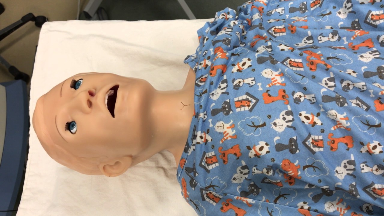 HAL the Simulation Mannequin