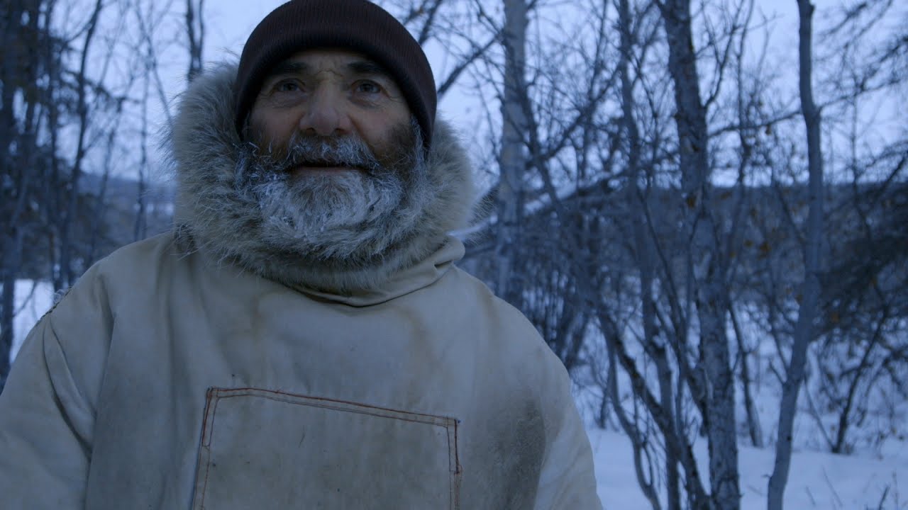 Winter Grizzly Bears Are Bold, Starving and Will Eat Anything
