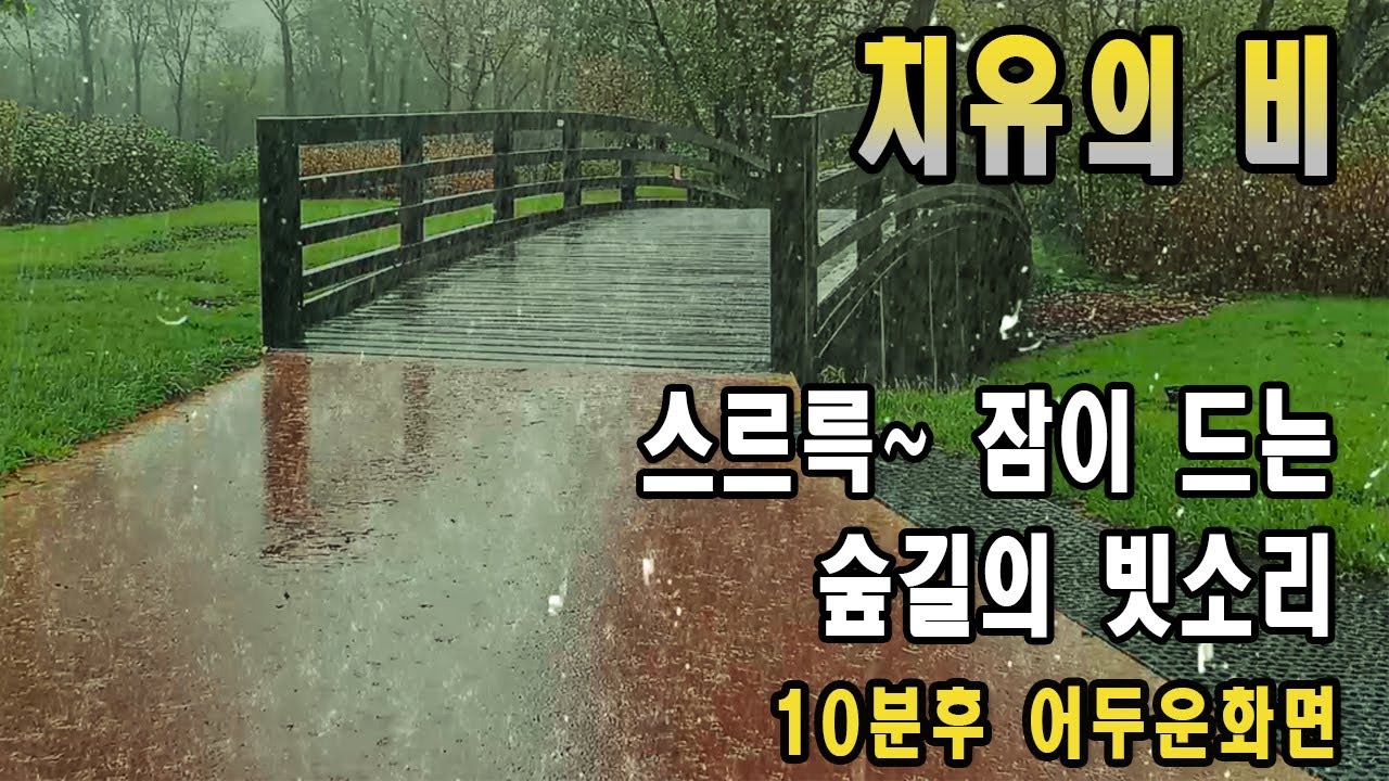 밤에 산책로에서 부드러운 빗소리 ASMR/ 이명치료효과/ 10분후 화면꺼짐