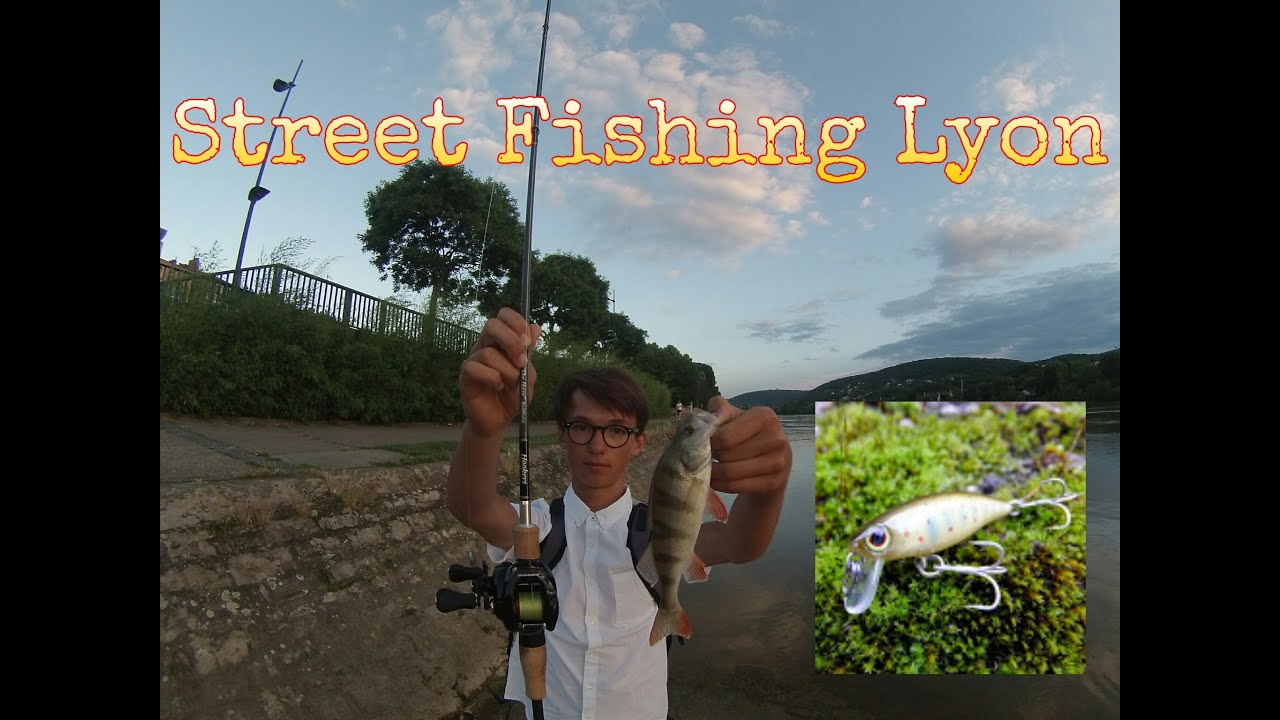 Street Fishing &agrave; Lyon : Silure, Perches, Sandres. #1