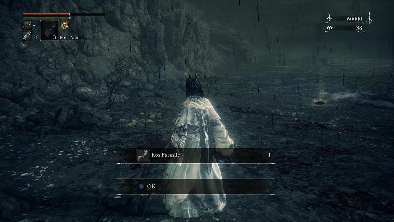 Bloodborne Orphan Win