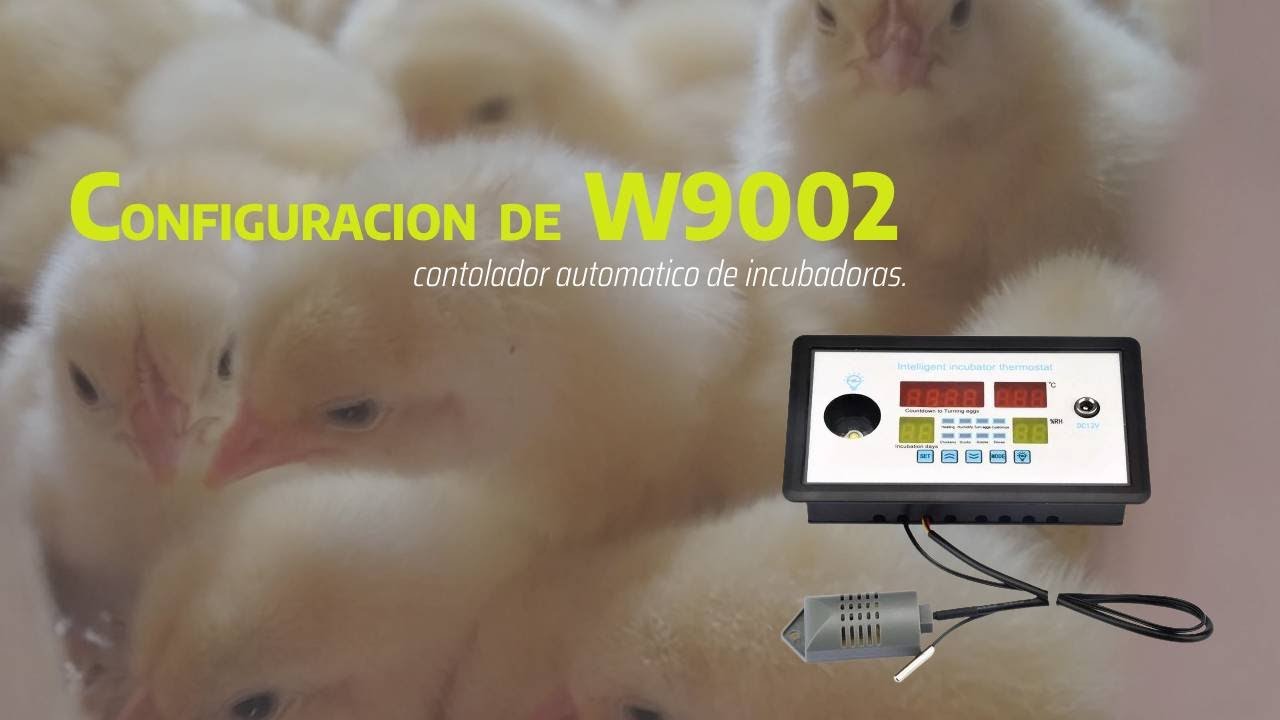 Configuración del modulo de incubadora W9002