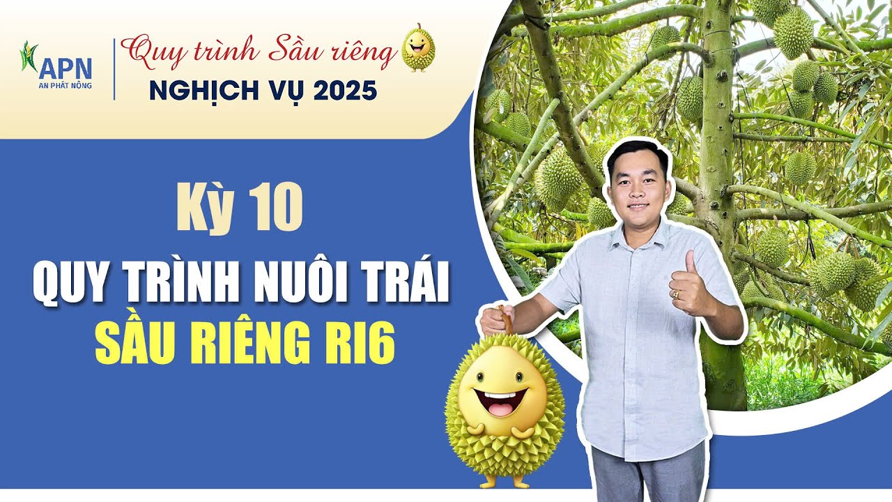 APN - QUY TR&Igrave;NH NU&Ocirc;I TR&Aacute;I RI6 | SẦU RI&Ecirc;NG NGHỊCH VỤ 2025  #anphatnong #kythuatcanhtacsaurieng