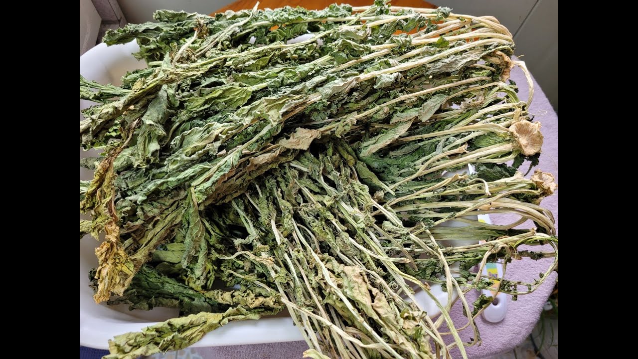 무청시래기 요래 삶으면 부드럽고 쉽게 삶아져요