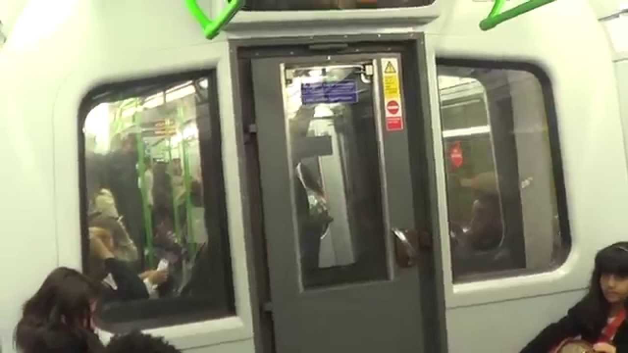 Foxy going on the London Underground Tube from Victoria to South Kensington