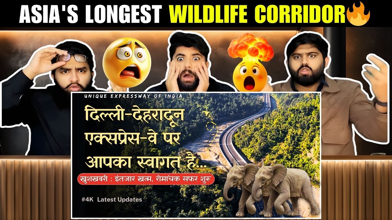 Reaction On Asia’s Longest Wildlife Corridor | संरक्षण | Pakistani Reaction 🔥
