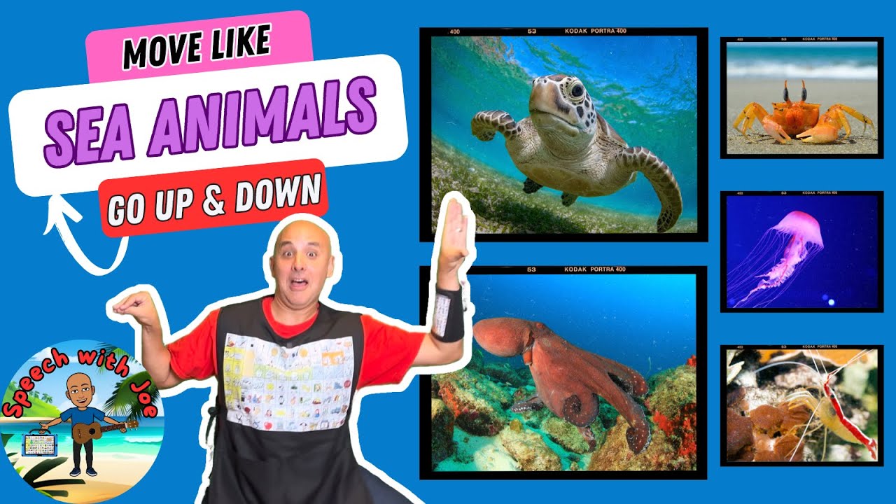 Move Like Sea Animals! | Learn Core Words: Up, Down, Do, Like, Look | AAC &Speech Therapy for Kids
