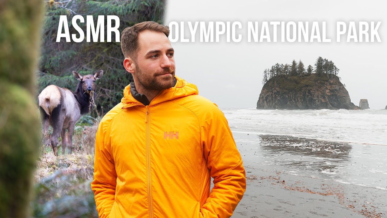 ASMR Hiking Hoh Rain Forest and La Push Beach in Olympic National Park