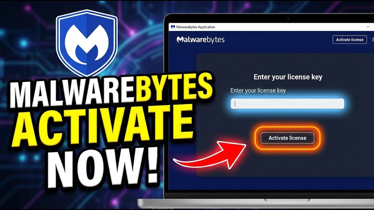 Как активировать Malwarebytes для повышения уровня безопасности &mdash; руководство для начинающих
