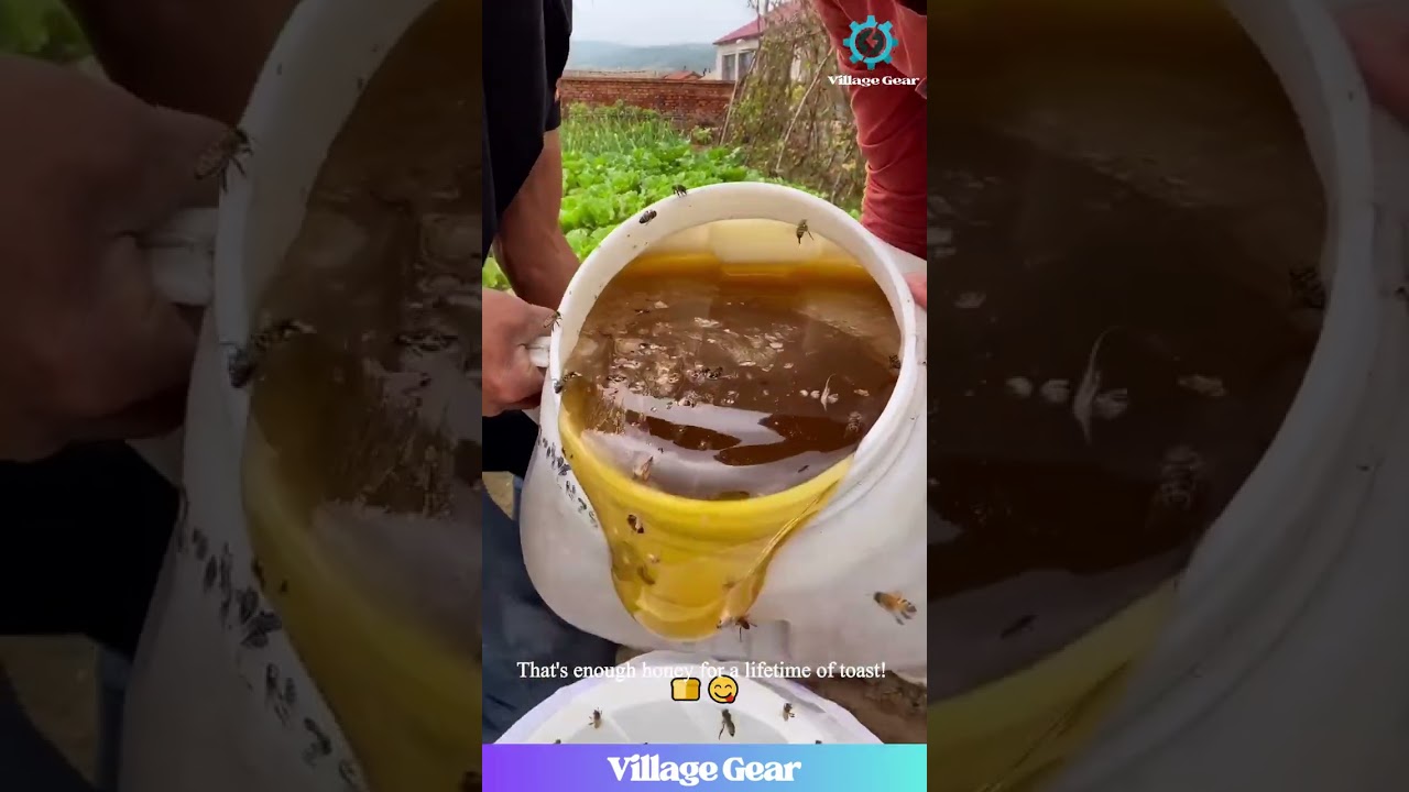 These Honey-Hustlers Are Drowning in Liquid Gold! 🍯🐝 The Bees Are Getting Jealous! #funny #honey
