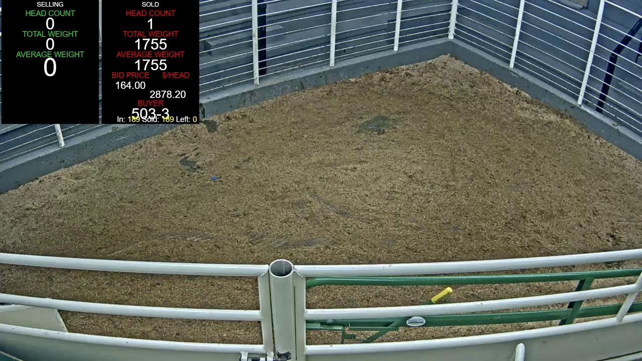 Everson Auction Market Live Stream 2/9/2026