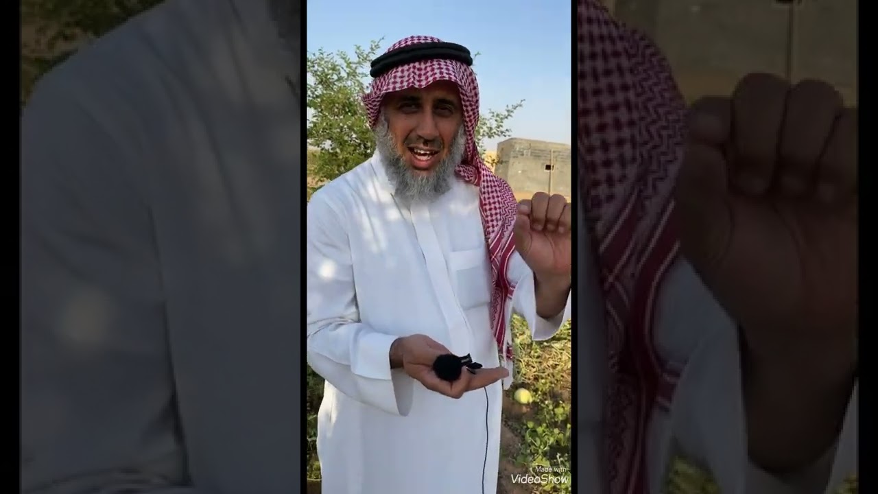 محمية الجربوع لتربية النحل والاشجار البرية