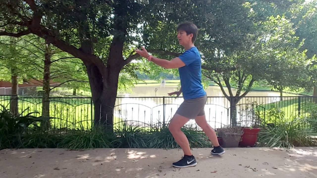 Lesson 1-3: 24 Yang Tai Chi Forms 1 & 2; Commencement Form and Parting Wild Horse's Mane