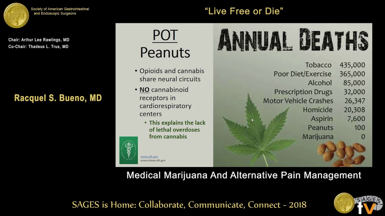 Medical cannabis & alternative pain management