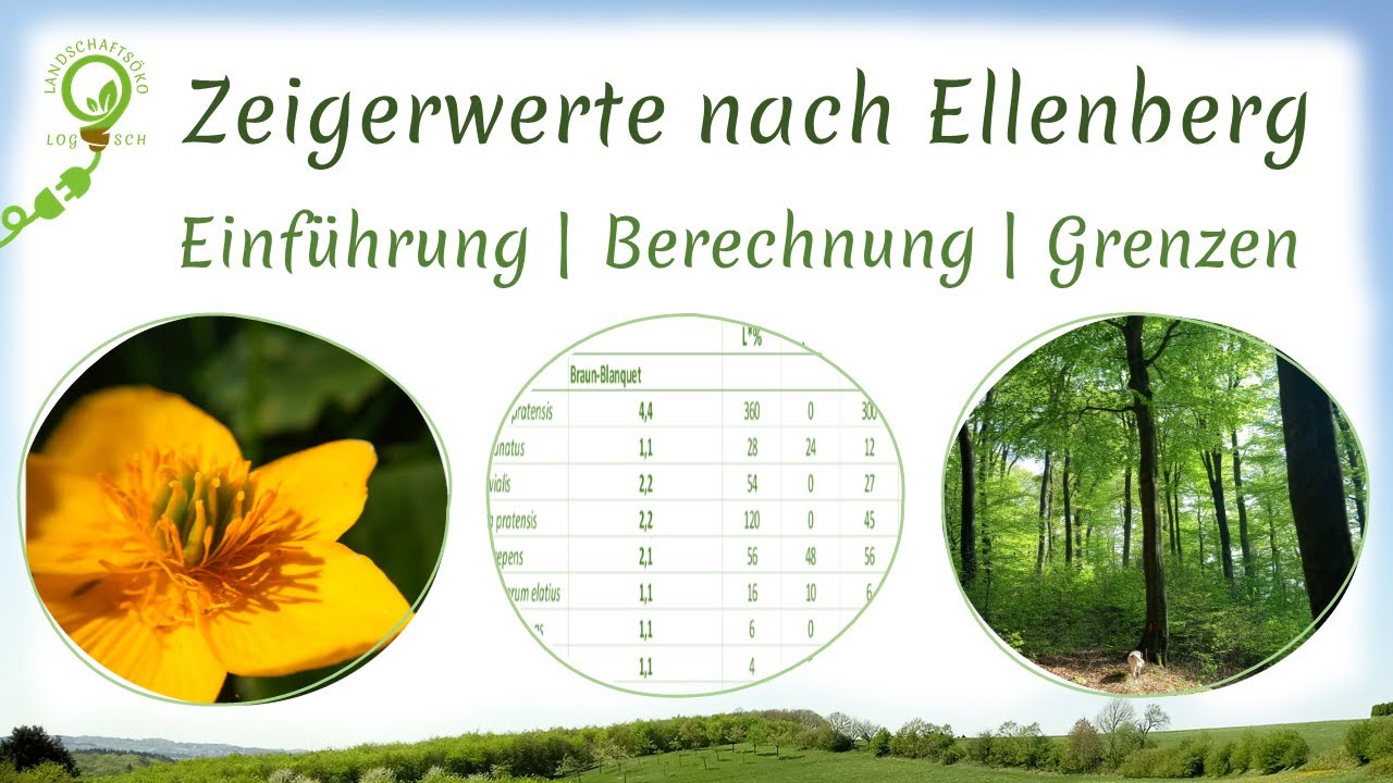 Zeigerwerte (Pflanzen) nach Ellenberg: L, T, K, F, R, N + Bsp. | Berechnung & Anwendung | Grenzen