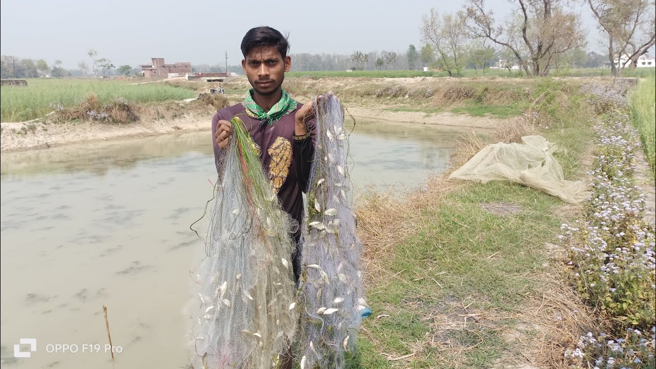 #देखो आज हमारे जाल में कितनी सारी मछलियां यह.. वीडियो पूरा देखें #fish #fishing#viral🐠🐟🐬..